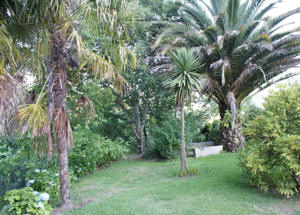 Quinta De Canhoes São Pedro do Sul Exterior photo