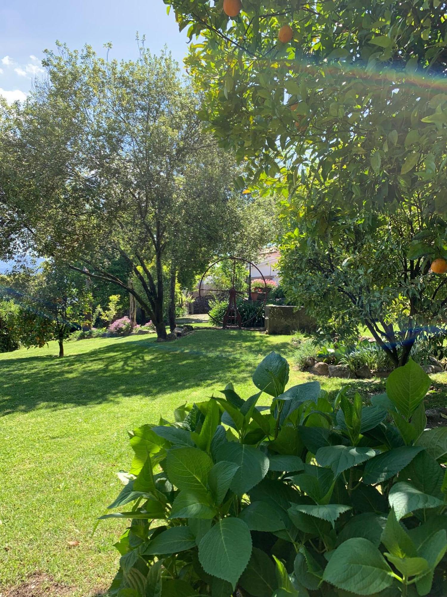 Quinta De Canhoes São Pedro do Sul Exterior photo